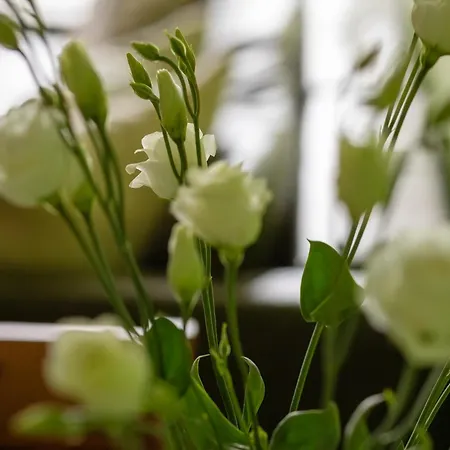 Funkcjonalne I Komfortowe Sun Seasons 24 W Kolobrzegu By Renters コウォブジェク