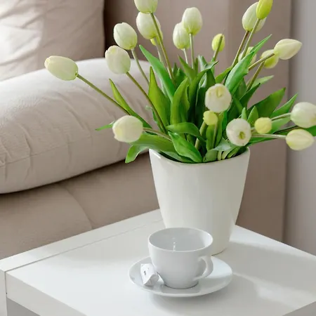 Funkcjonalne I Komfortowe Sun Seasons 24 W Kolobrzegu By Renters アパート コウォブジェク