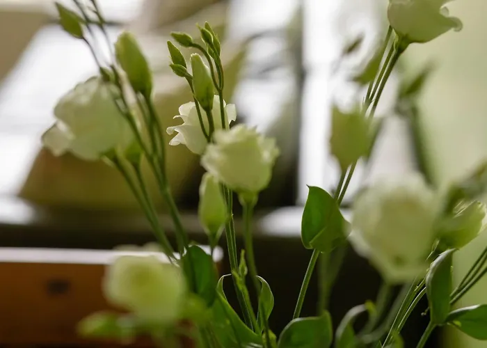 Funkcjonalne I Komfortowe Sun Seasons 24 W Kołobrzegu By Renters Kołobrzeg