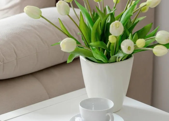 Funkcjonalne I Komfortowe Sun Seasons 24 W Kołobrzegu By Renters Apartament Kołobrzeg